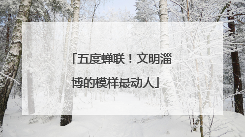 五度蝉联！文明淄博的模样最动人