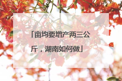 亩均要增产两三公斤，湖南如何做