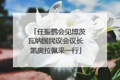 任振鹤会见博茨瓦纳国民议会议长凯奥拉佩采一行