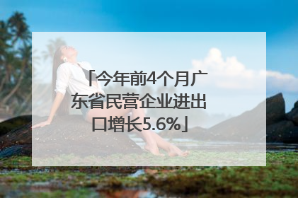 今年前4个月广东省民营企业进出口增长5.6%
