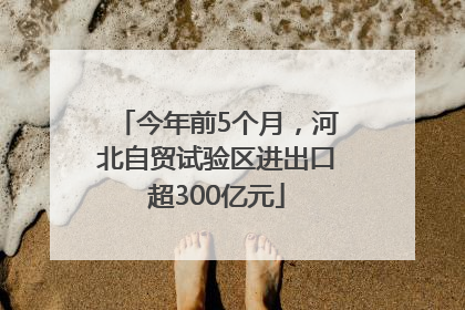 今年前5个月，河北自贸试验区进出口超300亿元