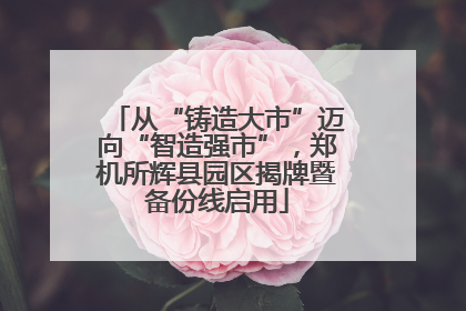 从“铸造大市”迈向“智造强市”，郑机所辉县园区揭牌暨备份线启用