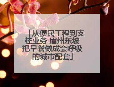 从便民工程到支柱业务 眉州东坡把早餐做成会呼吸的城市配套