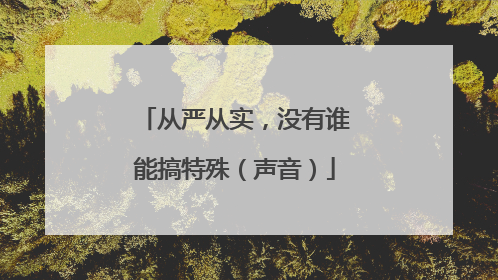 从严从实，没有谁能搞特殊（声音）