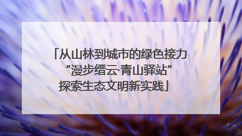 从山林到城市的绿色接力 “漫步缙云·青山驿站”探索生态文明新实践
