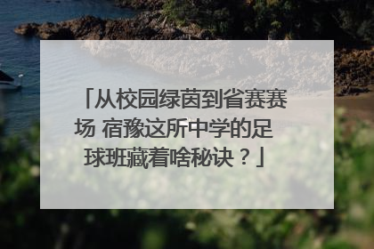 从校园绿茵到省赛赛场 宿豫这所中学的足球班藏着啥秘诀？