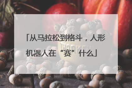 从马拉松到格斗，人形机器人在“赛”什么
