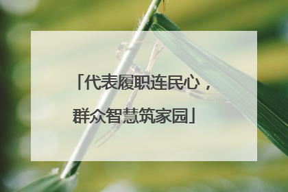 代表履职连民心，群众智慧筑家园