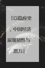 以稳应变，中国经济展现韧性与潜力