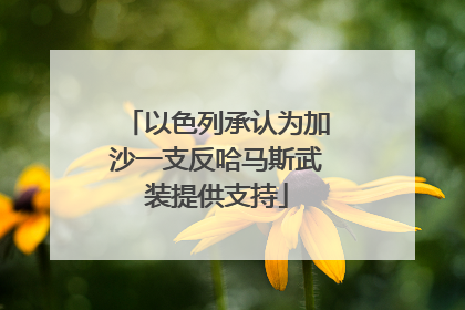 以色列承认为加沙一支反哈马斯武装提供支持