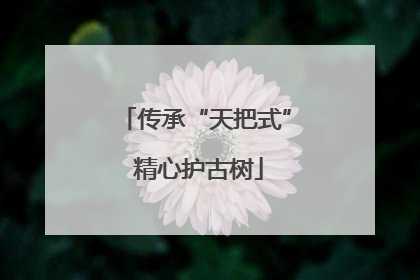 传承“天把式” 精心护古树