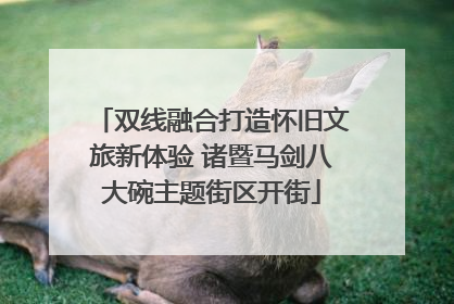 双线融合打造怀旧文旅新体验 诸暨马剑八大碗主题街区开街