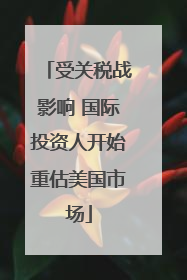 受关税战影响 国际投资人开始重估美国市场