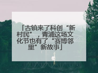 古镇来了科创“新村民”，青浦这场文化节也有了“赛博邻里”新故事