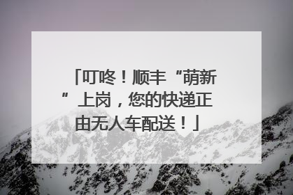 叮咚！顺丰“萌新”上岗，您的快递正由无人车配送！