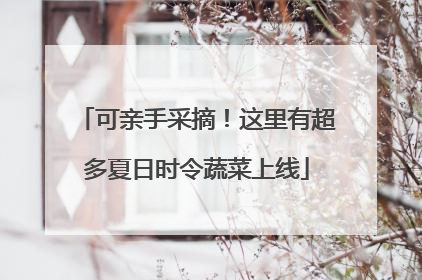 可亲手采摘！这里有超多夏日时令蔬菜上线