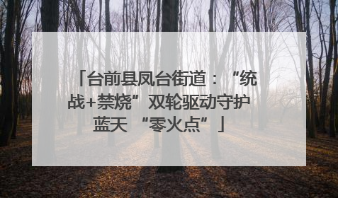 台前县凤台街道：“统战+禁烧”双轮驱动守护蓝天 “零火点”