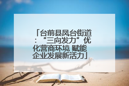 台前县凤台街道：“三向发力”优化营商环境 赋能企业发展新活力