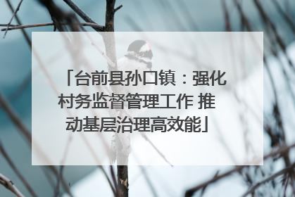 台前县孙口镇：强化村务监督管理工作 推动基层治理高效能