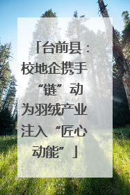 台前县：校地企携手“链”动 为羽绒产业注入“匠心动能”