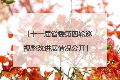 十一届省委第四轮巡视整改进展情况公开