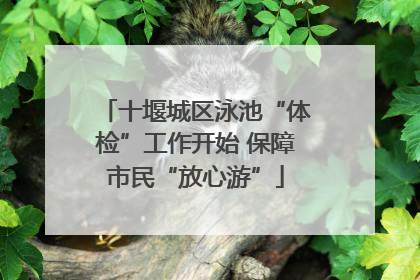 十堰城区泳池“体检”工作开始 保障市民“放心游”