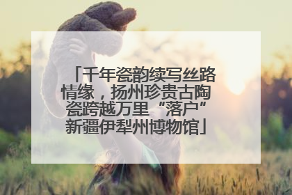 千年瓷韵续写丝路情缘，扬州珍贵古陶瓷跨越万里“落户”新疆伊犁州博物馆