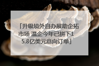 升级境外自办展助企拓市场 温企今年已拼下15.8亿美元意向订单