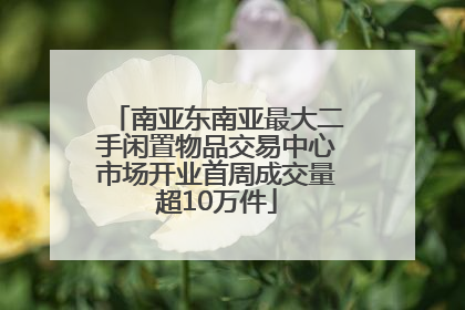 南亚东南亚最大二手闲置物品交易中心市场开业首周成交量超10万件