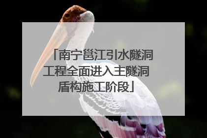 南宁邕江引水隧洞工程全面进入主隧洞盾构施工阶段