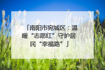 南阳市宛城区：温暖“志愿红”守护居民“幸福路”