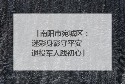 南阳市宛城区：迷彩身影守平安 退役军人践初心
