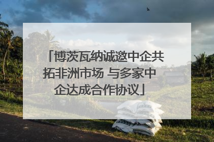 博茨瓦纳诚邀中企共拓非洲市场 与多家中企达成合作协议
