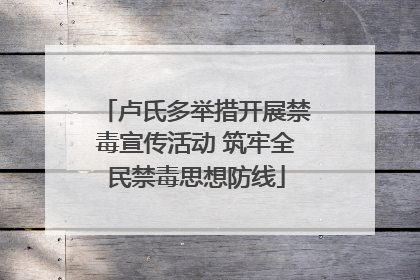 卢氏多举措开展禁毒宣传活动 筑牢全民禁毒思想防线