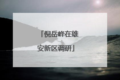 倪岳峰在雄安新区调研