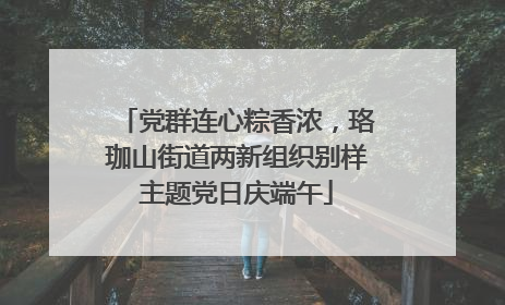 党群连心粽香浓，珞珈山街道两新组织别样主题党日庆端午