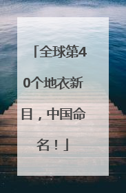 全球第40个地衣新目，中国命名！