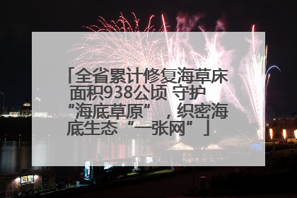 全省累计修复海草床面积938公顷 守护“海底草原”，织密海底生态“一张网”