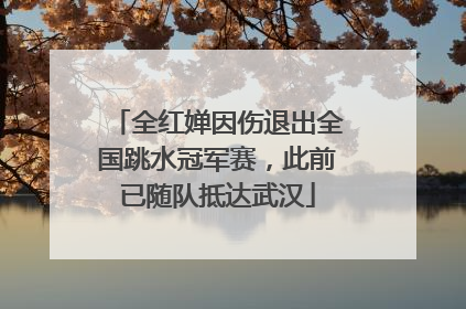 全红婵因伤退出全国跳水冠军赛，此前已随队抵达武汉