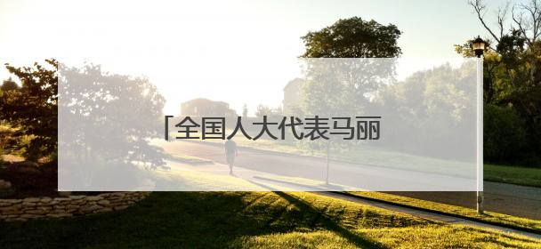 全国人大代表马丽——以司法裁判为引领做实定分止争