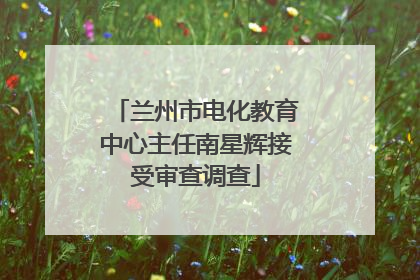 兰州市电化教育中心主任南星辉接受审查调查