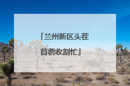 兰州新区头茬苜蓿收割忙