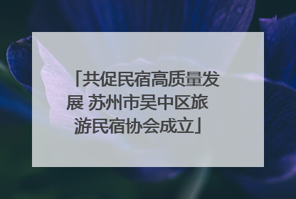 共促民宿高质量发展 苏州市吴中区旅游民宿协会成立