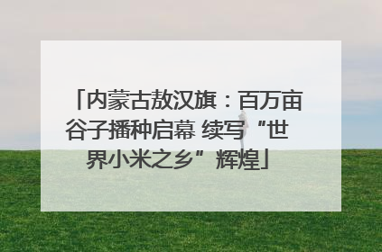 内蒙古敖汉旗：百万亩谷子播种启幕 续写“世界小米之乡”辉煌