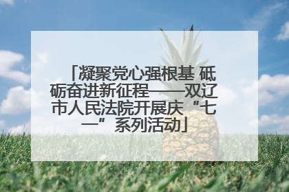 凝聚党心强根基 砥砺奋进新征程——双辽市人民法院开展庆“七一”系列活动