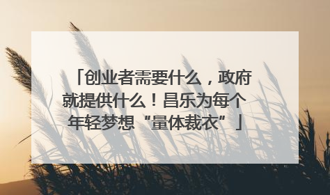 创业者需要什么，政府就提供什么！昌乐为每个年轻梦想“量体裁衣”