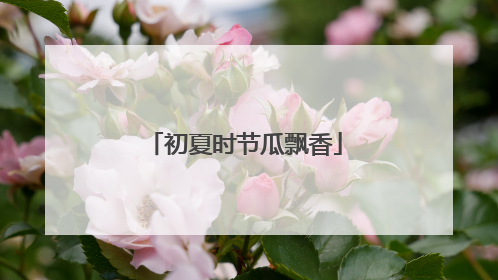 初夏时节瓜飘香