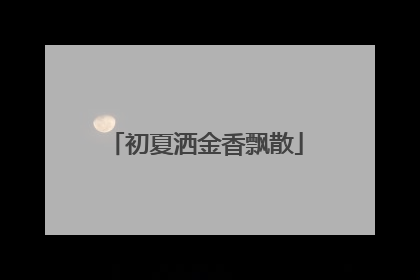 初夏洒金香飘散