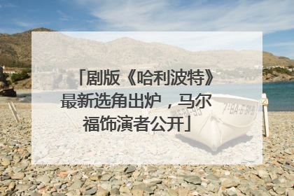 剧版《哈利波特》最新选角出炉，马尔福饰演者公开