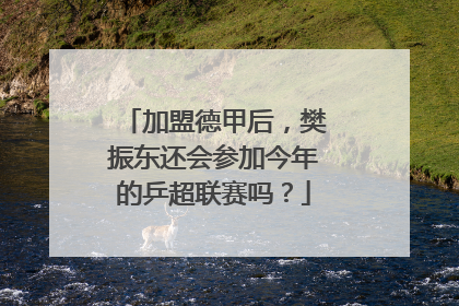 加盟德甲后，樊振东还会参加今年的乒超联赛吗？